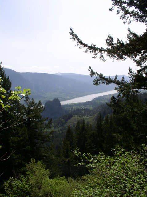 4.30.06 Hamilton Mountain 034 